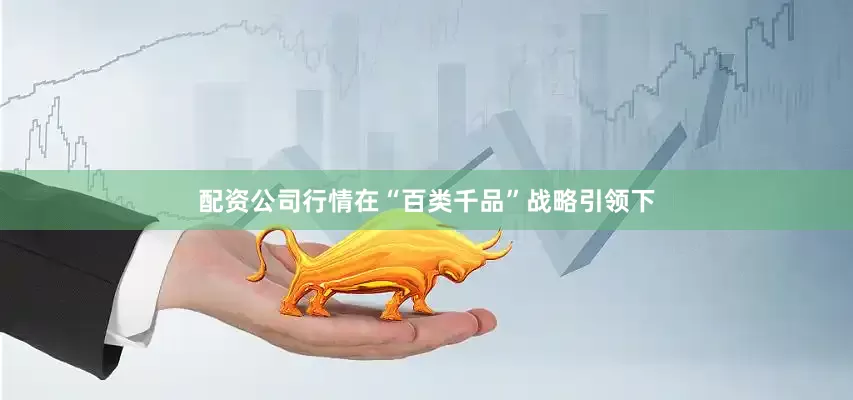 配资公司行情在“百类千品”战略引领下