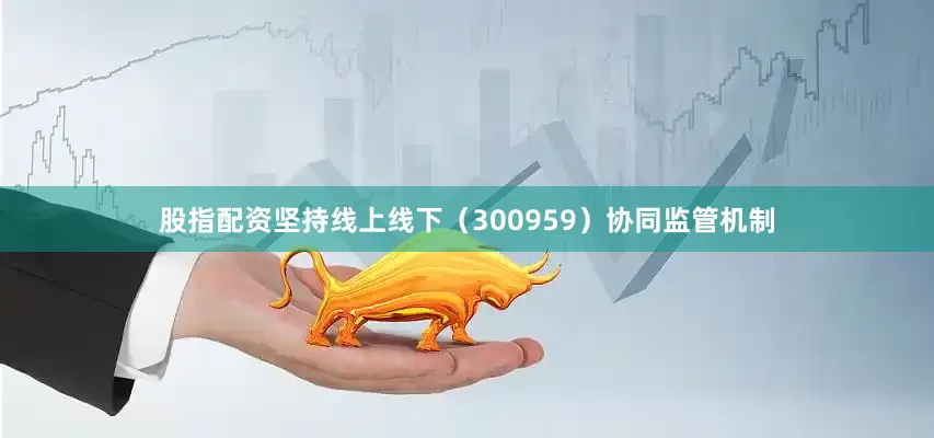 股指配资坚持线上线下（300959）协同监管机制