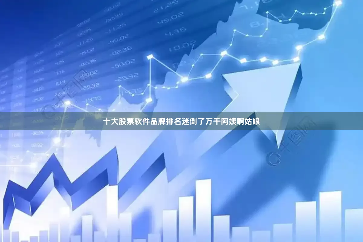 十大股票软件品牌排名迷倒了万千阿姨啊姑娘