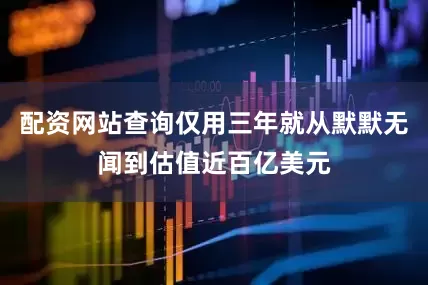 配资网站查询仅用三年就从默默无闻到估值近百亿美元