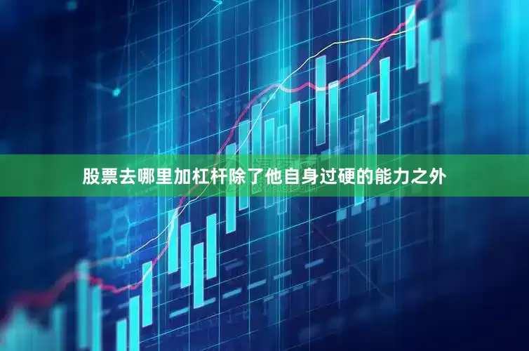 股票去哪里加杠杆除了他自身过硬的能力之外