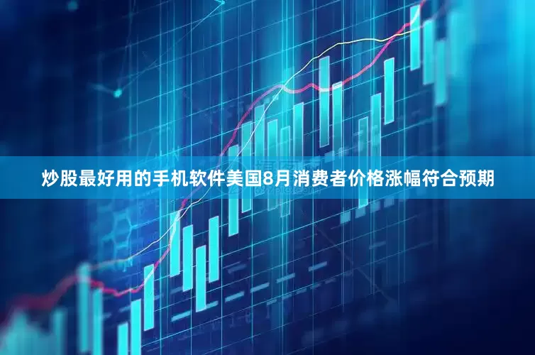 炒股最好用的手机软件美国8月消费者价格涨幅符合预期