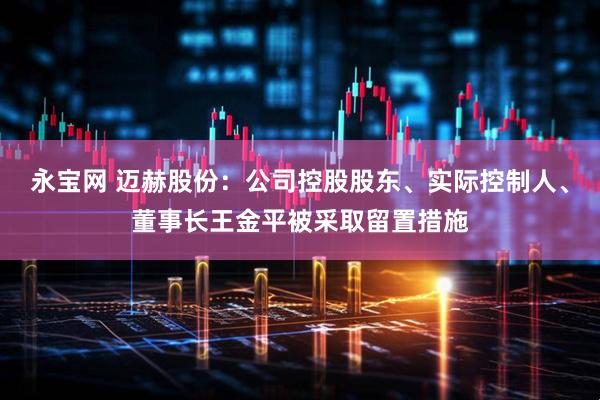 永宝网 迈赫股份：公司控股股东、实际控制人、董事长王金平被采取留置措施