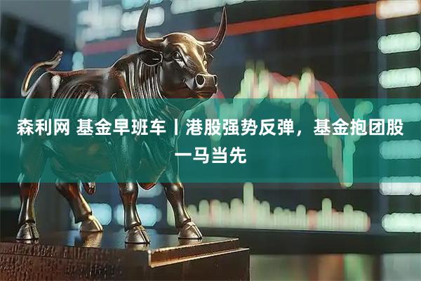 森利网 基金早班车丨港股强势反弹，基金抱团股一马当先
